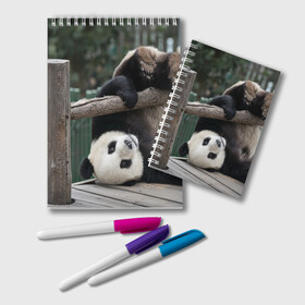 Блокнот с принтом Паркур панда , 100% бумага | 48 листов, плотность листов — 60 г/м2, плотность картонной обложки — 250 г/м2. Листы скреплены удобной пружинной спиралью. Цвет линий — светло-серый
 | бамбук | животное | медведь