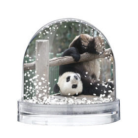 Снежный шар с принтом Паркур панда , Пластик | Изображение внутри шара печатается на глянцевой фотобумаге с двух сторон | бамбук | животное | медведь