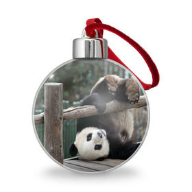 Ёлочный шар с принтом Паркур панда , Пластик | Диаметр: 77 мм | Тематика изображения на принте: бамбук | животное | медведь