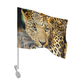 Флаг для автомобиля с принтом Леопард , 100% полиэстер | Размер: 30*21 см | властелин | глаз | грация | животные | зверь | кот | кошачий | кошки | крупный | леопард | лес | млекопитающее | природа | пятна | рыжий | усатый | усы | фауна | флора | хищник | хозяин | царь джунгли