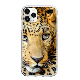 Чехол для iPhone 11 Pro матовый с принтом Леопард , Силикон |  | властелин | глаз | грация | животные | зверь | кот | кошачий | кошки | крупный | леопард | лес | млекопитающее | природа | пятна | рыжий | усатый | усы | фауна | флора | хищник | хозяин | царь джунгли