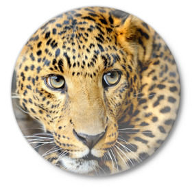 Значок с принтом Леопард ,  металл | круглая форма, металлическая застежка в виде булавки | Тематика изображения на принте: властелин | глаз | грация | животные | зверь | кот | кошачий | кошки | крупный | леопард | лес | млекопитающее | природа | пятна | рыжий | усатый | усы | фауна | флора | хищник | хозяин | царь джунгли