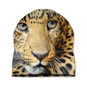 Шапка 3D с принтом Леопард , 100% полиэстер | универсальный размер, печать по всей поверхности изделия | властелин | глаз | грация | животные | зверь | кот | кошачий | кошки | крупный | леопард | лес | млекопитающее | природа | пятна | рыжий | усатый | усы | фауна | флора | хищник | хозяин | царь джунгли