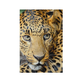 Обложка для паспорта матовая кожа с принтом Леопард , натуральная матовая кожа | размер 19,3 х 13,7 см; прозрачные пластиковые крепления | властелин | глаз | грация | животные | зверь | кот | кошачий | кошки | крупный | леопард | лес | млекопитающее | природа | пятна | рыжий | усатый | усы | фауна | флора | хищник | хозяин | царь джунгли