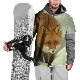 Накидка на куртку 3D с принтом Лиса , 100% полиэстер |  | дикий | зима | пейзаж | хищник