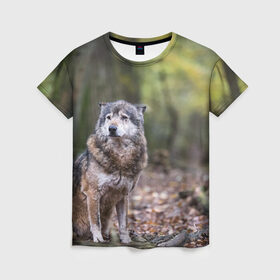 Женская футболка 3D с принтом Серый волк , 100% полиэфир ( синтетическое хлопкоподобное полотно) | прямой крой, круглый вырез горловины, длина до линии бедер | бирюк | волк | волчара | волчица | волчок | глаза | животное | животные | зверь | зеленые | койот | лес | млекопитающее | природа | санитар леса | серый | уши | фауна | хищник | черный | шакал