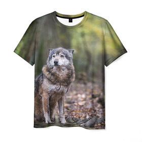 Мужская футболка 3D с принтом Серый волк , 100% полиэфир | прямой крой, круглый вырез горловины, длина до линии бедер | бирюк | волк | волчара | волчица | волчок | глаза | животное | животные | зверь | зеленые | койот | лес | млекопитающее | природа | санитар леса | серый | уши | фауна | хищник | черный | шакал