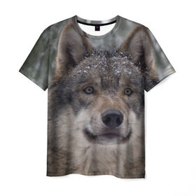Мужская футболка 3D с принтом Серый волк , 100% полиэфир | прямой крой, круглый вырез горловины, длина до линии бедер | бирюк | волк | волчара | волчица | волчок | глаза | животное | животные | зверь | зеленые | койот | лес | млекопитающее | природа | санитар леса | серый | уши | фауна | хищник | черный | шакал
