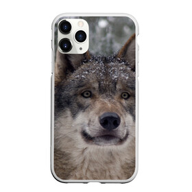 Чехол для iPhone 11 Pro матовый с принтом Серый волк , Силикон |  | Тематика изображения на принте: бирюк | волк | волчара | волчица | волчок | глаза | животное | животные | зверь | зеленые | койот | лес | млекопитающее | природа | санитар леса | серый | уши | фауна | хищник | черный | шакал