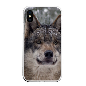 Чехол для iPhone XS Max матовый с принтом Серый волк , Силикон | Область печати: задняя сторона чехла, без боковых панелей | бирюк | волк | волчара | волчица | волчок | глаза | животное | животные | зверь | зеленые | койот | лес | млекопитающее | природа | санитар леса | серый | уши | фауна | хищник | черный | шакал