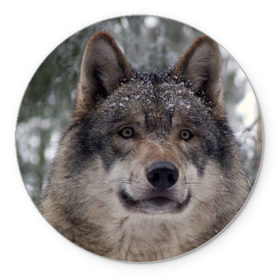 Коврик круглый с принтом Серый волк , резина и полиэстер | круглая форма, изображение наносится на всю лицевую часть | Тематика изображения на принте: бирюк | волк | волчара | волчица | волчок | глаза | животное | животные | зверь | зеленые | койот | лес | млекопитающее | природа | санитар леса | серый | уши | фауна | хищник | черный | шакал