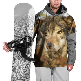 Накидка на куртку 3D с принтом Волк , 100% полиэстер |  | бирюк | волк | волчара | волчица | волчок | глаза | животное | животные | зверь | зеленые | койот | лес | млекопитающее | природа | санитар леса | серый | уши | фауна | хищник | черный | шакал