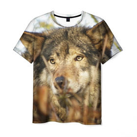 Мужская футболка 3D с принтом Волк , 100% полиэфир | прямой крой, круглый вырез горловины, длина до линии бедер | бирюк | волк | волчара | волчица | волчок | глаза | животное | животные | зверь | зеленые | койот | лес | млекопитающее | природа | санитар леса | серый | уши | фауна | хищник | черный | шакал
