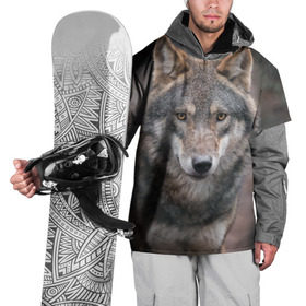 Накидка на куртку 3D с принтом Волк - санитар леса , 100% полиэстер |  | Тематика изображения на принте: серый