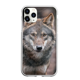 Чехол для iPhone 11 Pro матовый с принтом Волк - санитар леса , Силикон |  | серый