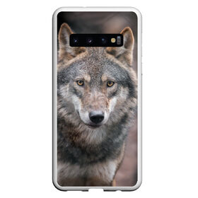 Чехол для Samsung Galaxy S10 с принтом Волк - санитар леса , Силикон | Область печати: задняя сторона чехла, без боковых панелей | серый