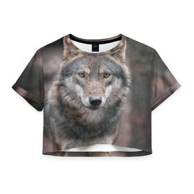 Женская футболка 3D укороченная с принтом Волк - санитар леса , 100% полиэстер | круглая горловина, длина футболки до линии талии, рукава с отворотами | серый