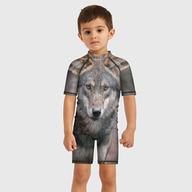 Детский купальный костюм 3D с принтом Волк - санитар леса , Полиэстер 85%, Спандекс 15% | застежка на молнии на спине | серый