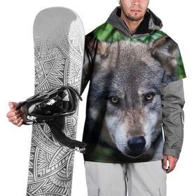 Накидка на куртку 3D с принтом Хищник , 100% полиэстер |  | аука | бирюк | волк | волчара | волчица | волчок | глаза | животное | животные | зверь | зеленые | койот | лес | млекопитающее | природа | санитар леса | серый | уши | фауна | хищник | черный | шакал