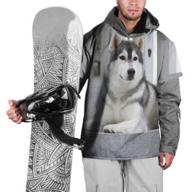 Накидка на куртку 3D с принтом Волчья парода , 100% полиэстер |  | аука | бирюк | волк | волчара | волчица | волчок | город | животное | животные | зверь | койот | лес | млекопитающее | парода | санитар леса | серый | собака | уши | фауна | хищник | черный | шакал