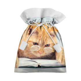 Подарочный 3D мешок с принтом Кот ученый , 100% полиэстер | Размер: 29*39 см | грустный | добрый | животное | киса | киска | кот | котенок | котэ | кошка | красивый | лапа | лапка | ласковый | милый | очки | прикольный | рыжий | смешной | унылый | усатый | шерсть