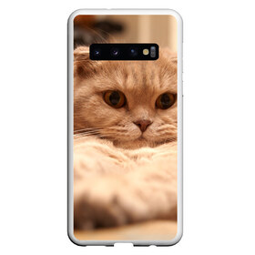 Чехол для Samsung Galaxy S10 с принтом Вислоухий красавчик , Силикон | Область печати: задняя сторона чехла, без боковых панелей | грустный | добрый | животное | киса | киска кися | кот | котенок | котэ | кошка | красивый | лапа | лапка | ласковый | милый | моська | мурлыка | прикольный | смешной | унылый | усатый | шерсть