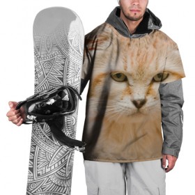 Накидка на куртку 3D с принтом Рыжий кот , 100% полиэстер |  | Тематика изображения на принте: грустный | добрый | животное | киса | киска кися | кот | котенок | котэ | кошка | красивый | лапа | лапка | ласковый | милый | моська | мурлыка | прикольный | смешной | унылый | усатый | шерсть