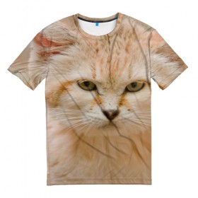 Мужская футболка 3D с принтом Рыжий кот , 100% полиэфир | прямой крой, круглый вырез горловины, длина до линии бедер | грустный | добрый | животное | киса | киска кися | кот | котенок | котэ | кошка | красивый | лапа | лапка | ласковый | милый | моська | мурлыка | прикольный | смешной | унылый | усатый | шерсть
