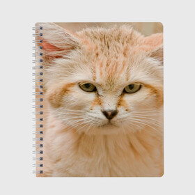 Тетрадь с принтом Рыжий кот , 100% бумага | 48 листов, плотность листов — 60 г/м2, плотность картонной обложки — 250 г/м2. Листы скреплены сбоку удобной пружинной спиралью. Уголки страниц и обложки скругленные. Цвет линий — светло-серый
 | грустный | добрый | животное | киса | киска кися | кот | котенок | котэ | кошка | красивый | лапа | лапка | ласковый | милый | моська | мурлыка | прикольный | смешной | унылый | усатый | шерсть
