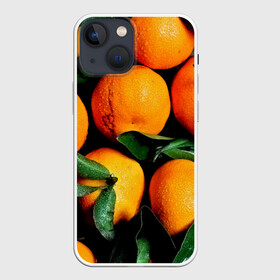 Чехол для iPhone 13 mini с принтом Мандаринчики ,  |  | зелень | оранжевый | цитрус | яркий