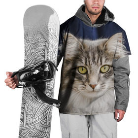 Накидка на куртку 3D с принтом Серый кот , 100% полиэстер |  | грустный | добрый | животное | киса | киска кися | кот | котенок | котэ | кошка | красивый | лапа | лапка | ласковый | милый | моська | мурлыка | прикольный | смешной | унылый | усатый | шерсть
