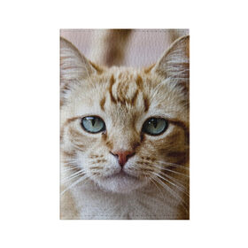 Обложка для паспорта матовая кожа с принтом Рыжий кот, зеленые глаза , натуральная матовая кожа | размер 19,3 х 13,7 см; прозрачные пластиковые крепления | грустный | добрый | животное | киса | киска кися | кот | котенок | котэ | кошка | красивый | лапа | лапка | ласковый | милый | моська | мурлыка | прикольный | смешной | унылый | усатый | шерсть