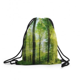 Рюкзак-мешок 3D с принтом Солнечный лес , 100% полиэстер | плотность ткани — 200 г/м2, размер — 35 х 45 см; лямки — толстые шнурки, застежка на шнуровке, без карманов и подкладки | Тематика изображения на принте: деревья | зелень | лес | лето | лучи солнца | солнце | тайга
