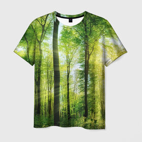 Мужская футболка 3D с принтом Солнечный лес , 100% полиэфир | прямой крой, круглый вырез горловины, длина до линии бедер | деревья | зелень | лес | лето | лучи солнца | солнце | тайга