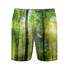 Мужские шорты 3D спортивные с принтом Солнечный лес ,  |  | деревья | зелень | лес | лето | лучи солнца | солнце | тайга
