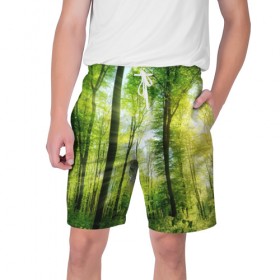 Мужские шорты 3D с принтом Солнечный лес ,  полиэстер 100% | прямой крой, два кармана без застежек по бокам. Мягкая трикотажная резинка на поясе, внутри которой широкие завязки. Длина чуть выше колен | деревья | зелень | лес | лето | лучи солнца | солнце | тайга
