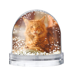 Снежный шар с принтом Рыжий кот , Пластик | Изображение внутри шара печатается на глянцевой фотобумаге с двух сторон | грустный | добрый | животное | киса | киска кися | кот | котенок | котэ | кошка | красивый | лапа | лапка | ласковый | милый | моська | мурлыка | прикольный | смешной | унылый | усатый | шерсть