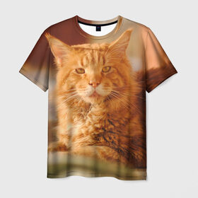 Мужская футболка 3D с принтом Рыжий кот , 100% полиэфир | прямой крой, круглый вырез горловины, длина до линии бедер | грустный | добрый | животное | киса | киска кися | кот | котенок | котэ | кошка | красивый | лапа | лапка | ласковый | милый | моська | мурлыка | прикольный | смешной | унылый | усатый | шерсть