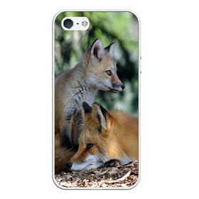 Чехол для iPhone 5/5S матовый с принтом Лиса и лесенок , Силикон | Область печати: задняя сторона чехла, без боковых панелей | fox | животное | зверь | красивая | лес | лис | лиса | лисенок | лисица | лисичка | мех | патрикеевна | песец | плутовка | прикольная | природа | рыжая | рыжий цвет | сказка | хвост | хитрая | хищник