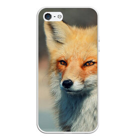 Чехол для iPhone 5/5S матовый с принтом Лисица , Силикон | Область печати: задняя сторона чехла, без боковых панелей | fox | животное | зверь | красивая | лес | лис | лиса | лисенок | лисица | лисичка | мех | патрикеевна | песец | плутовка | прикольная | природа | рыжая | рыжий цвет | сказка | хвост | хитрая | хищник