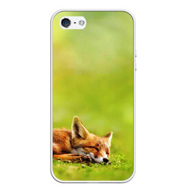 Чехол для iPhone 5/5S матовый с принтом Лисичка спит , Силикон | Область печати: задняя сторона чехла, без боковых панелей | fox | животное | зверь | красивая | лес | лис | лиса | лисенок | лисица | лисичка | мех | патрикеевна | песец | плутовка | прикольная | природа | рыжая | рыжий цвет | сказка | хвост | хитрая | хищник