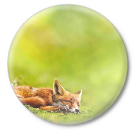 Значок с принтом Лисичка спит ,  металл | круглая форма, металлическая застежка в виде булавки | fox | животное | зверь | красивая | лес | лис | лиса | лисенок | лисица | лисичка | мех | патрикеевна | песец | плутовка | прикольная | природа | рыжая | рыжий цвет | сказка | хвост | хитрая | хищник