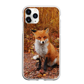 Чехол для iPhone 11 Pro матовый с принтом Лиса , Силикон |  | fox | животное | зверь | красивая | лес | лис | лиса | лисенок | лисица | лисичка | мех | патрикеевна | песец | плутовка | прикольная | природа | рыжая | рыжий цвет | сказка | хвост | хитрая | хищник