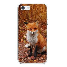 Чехол для iPhone 5/5S матовый с принтом Лиса , Силикон | Область печати: задняя сторона чехла, без боковых панелей | fox | животное | зверь | красивая | лес | лис | лиса | лисенок | лисица | лисичка | мех | патрикеевна | песец | плутовка | прикольная | природа | рыжая | рыжий цвет | сказка | хвост | хитрая | хищник