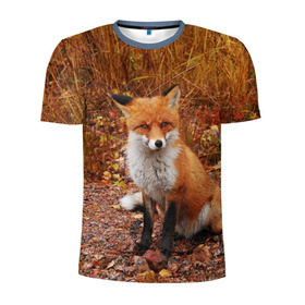 Мужская футболка 3D спортивная с принтом Лиса , 100% полиэстер с улучшенными характеристиками | приталенный силуэт, круглая горловина, широкие плечи, сужается к линии бедра | fox | животное | зверь | красивая | лес | лис | лиса | лисенок | лисица | лисичка | мех | патрикеевна | песец | плутовка | прикольная | природа | рыжая | рыжий цвет | сказка | хвост | хитрая | хищник