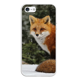 Чехол для iPhone 5/5S матовый с принтом Лиса , Силикон | Область печати: задняя сторона чехла, без боковых панелей | fox | животное | зверь | красивая | лес | лис | лиса | лисенок | лисица | лисичка | мех | патрикеевна | песец | плутовка | прикольная | природа | рыжая | рыжий цвет | сказка | хвост | хитрая | хищник