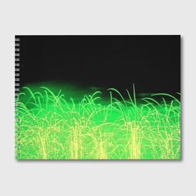 Альбом для рисования с принтом Зеленые искры , 100% бумага
 | матовая бумага, плотность 200 мг. | 3d | абстракция | брызги | зеленый | искры | линии | полосы | прикольные | салют | свет | узоры | яркие