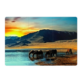 Магнитный плакат 3Х2 с принтом Лошади , Полимерный материал с магнитным слоем | 6 деталей размером 9*9 см | 3d | берег | вода | горы | животное | закат | лошади | небо | прикольные | природа | река | солнце | яркие