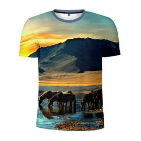 Мужская футболка 3D спортивная с принтом Лошади , 100% полиэстер с улучшенными характеристиками | приталенный силуэт, круглая горловина, широкие плечи, сужается к линии бедра | 3d | берег | вода | горы | животное | закат | лошади | небо | прикольные | природа | река | солнце | яркие