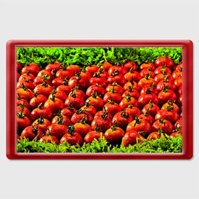 Магнит 45*70 с принтом Томатик , Пластик | Размер: 78*52 мм; Размер печати: 70*45 | 3d | еда | зелень | красный | лето | много | овощи | пища | помидор | прикольные | томат | яркие